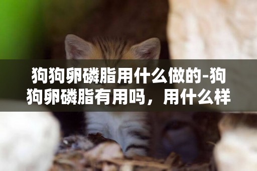 狗狗卵磷脂用什么做的-狗狗卵磷脂有用嗎，用什么樣的好？