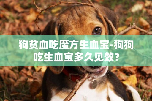 狗貧血吃魔方生血寶-狗狗吃生血寶多久見效？
