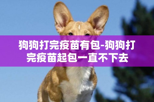 狗狗打完疫苗有包-狗狗打完疫苗起包一直不下去