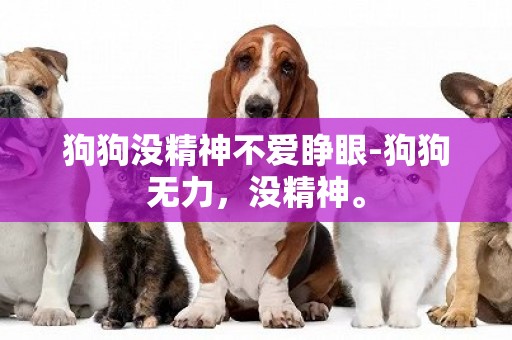 狗狗沒精神不愛睜眼-狗狗無力，沒精神。