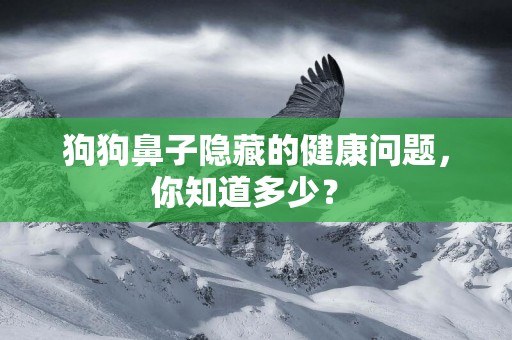 狗狗鼻子隱藏的健康問題，你知道多少？ 