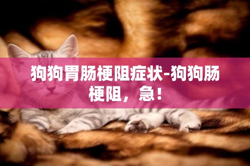 狗狗胃腸梗阻癥狀-狗狗腸梗阻，急！