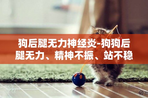 狗后腿無力神經炎-狗狗后腿無力、精神不振、站不穩