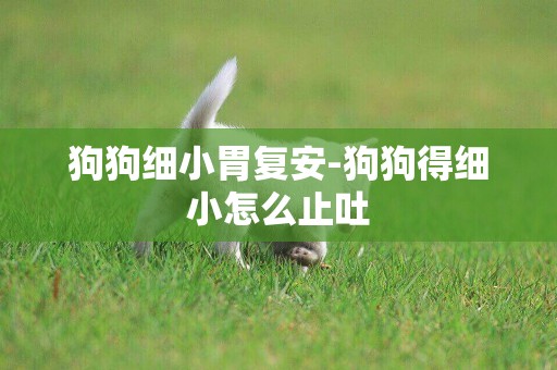 狗狗細小胃復安-狗狗得細小怎么止吐