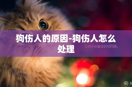 狗傷人的原因-狗傷人怎么處理