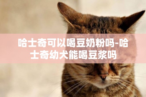 哈士奇可以喝豆奶粉嗎-哈士奇幼犬能喝豆漿嗎