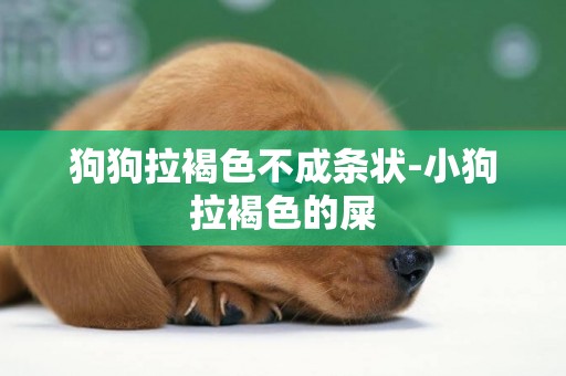 狗狗拉褐色不成條狀-小狗拉褐色的屎