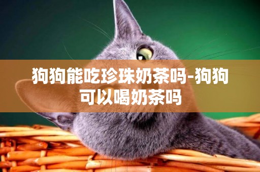狗狗能吃珍珠奶茶嗎-狗狗可以喝奶茶嗎