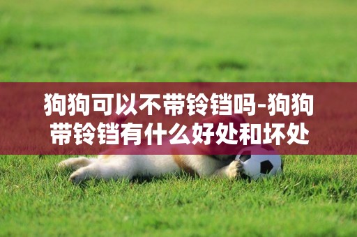狗狗可以不帶鈴鐺嗎-狗狗帶鈴鐺有什么好處和壞處