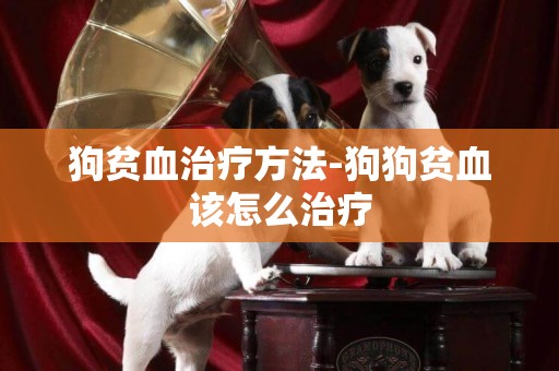 狗貧血治療方法-狗狗貧血該怎么治療
