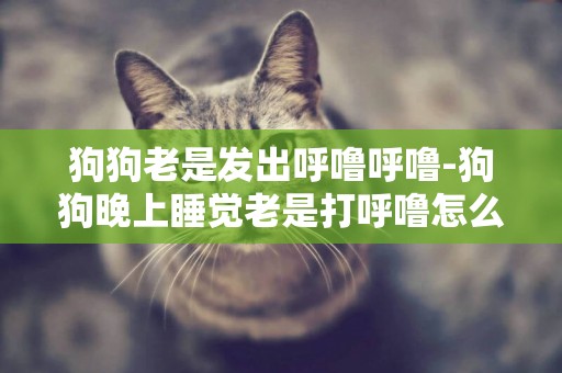 狗狗老是發出呼嚕呼嚕-狗狗晚上睡覺老是打呼嚕怎么辦？