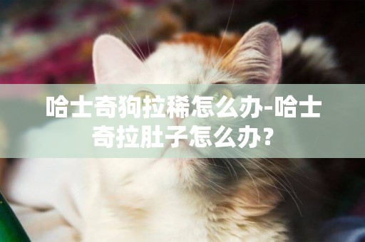 哈士奇狗拉稀怎么辦-哈士奇拉肚子怎么辦？