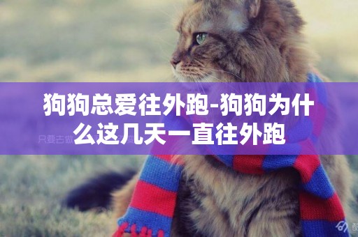 狗狗總愛往外跑-狗狗為什么這幾天一直往外跑