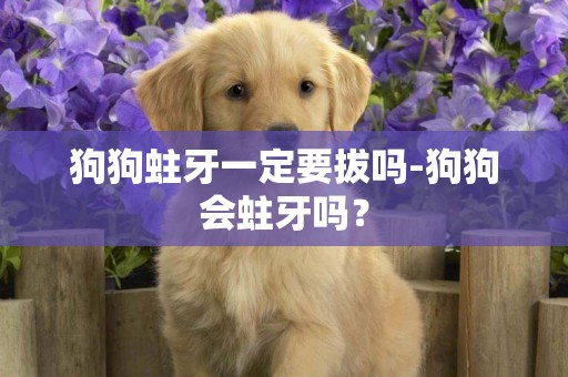 狗狗蛀牙一定要拔嗎-狗狗會蛀牙嗎？