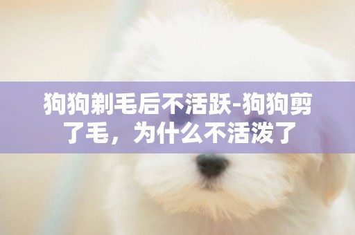 狗狗剃毛后不活躍-狗狗剪了毛，為什么不活潑了