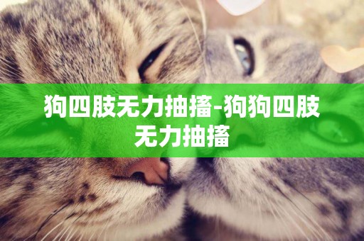 狗四肢無力抽搐-狗狗四肢無力抽搐