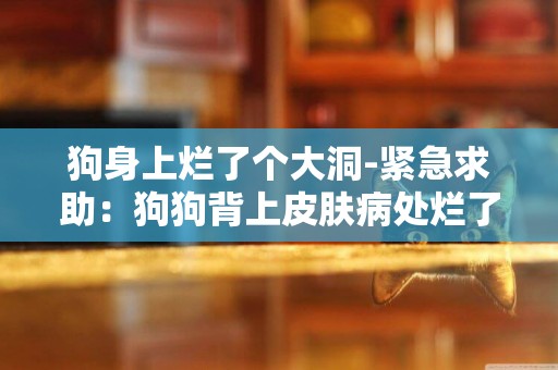 狗身上爛了個大洞-緊急求助：狗狗背上皮膚病處爛了個洞