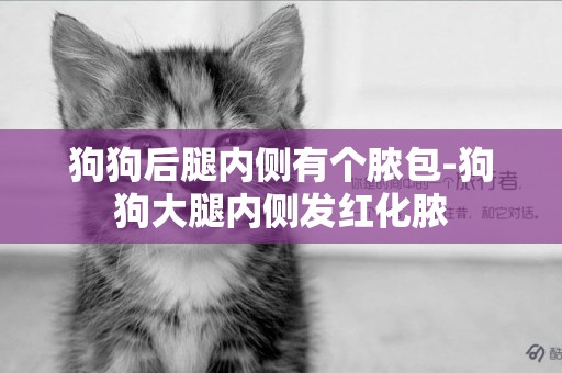 狗狗后腿內側有個膿包-狗狗大腿內側發紅化膿