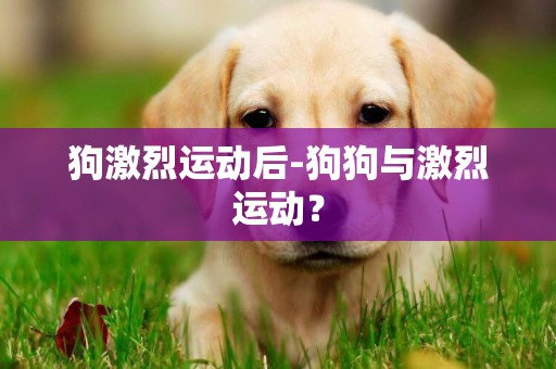 狗激烈運動后-狗狗與激烈運動？