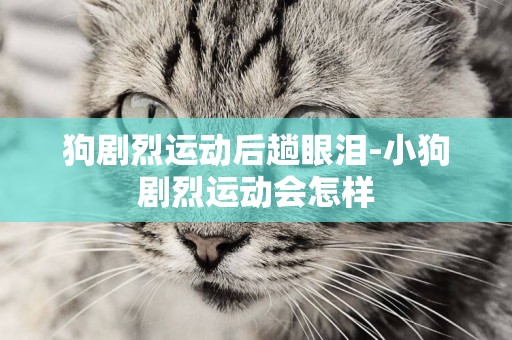 狗劇烈運動后趟眼淚-小狗劇烈運動會怎樣