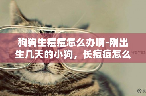 狗狗生痘痘怎么辦啊-剛出生幾天的小狗，長痘痘怎么辦，