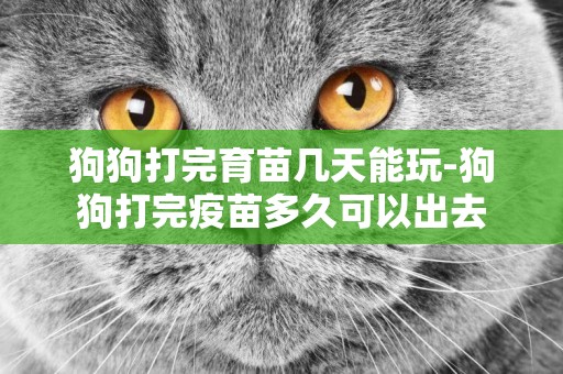 狗狗打完育苗幾天能玩-狗狗打完疫苗多久可以出去