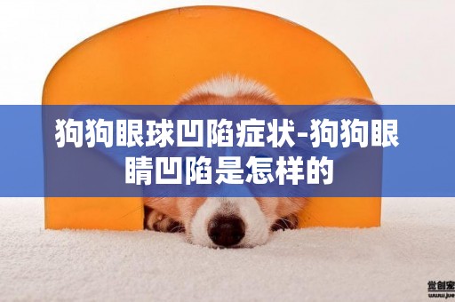 狗狗眼球凹陷癥狀-狗狗眼睛凹陷是怎樣的