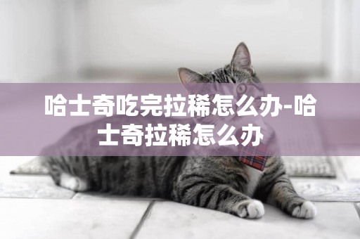 哈士奇吃完拉稀怎么辦-哈士奇拉稀怎么辦