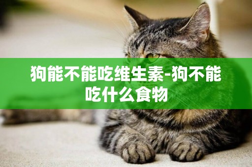 狗能不能吃維生素-狗不能吃什么食物