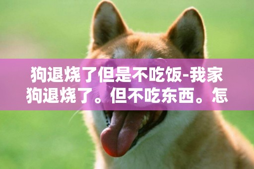 狗退燒了但是不吃飯-我家狗退燒了。但不吃東西。怎么辦？