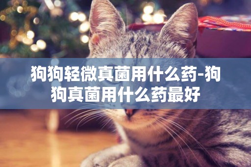 狗狗輕微真菌用什么藥-狗狗真菌用什么藥最好