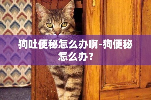 狗吐便秘怎么辦啊-狗便秘怎么辦？