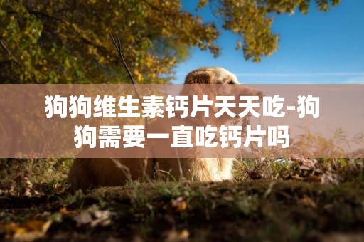 狗狗維生素鈣片天天吃-狗狗需要一直吃鈣片嗎