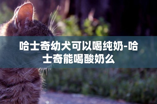 哈士奇幼犬可以喝純奶-哈士奇能喝酸奶么