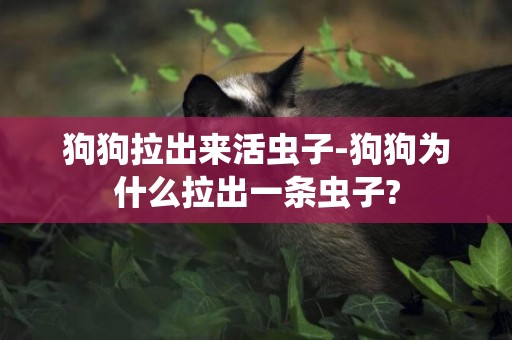 狗狗拉出來活蟲子-狗狗為什么拉出一條蟲子?