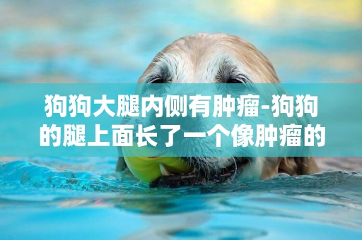 狗狗大腿內側有腫瘤-狗狗的腿上面長了一個像腫瘤的肉坨坨、能治好嗎？
