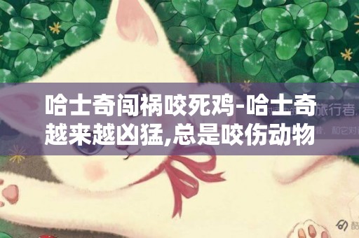 哈士奇闖禍咬死雞-哈士奇越來越兇猛,總是咬傷動物怎么辦?