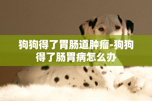 狗狗得了胃腸道腫瘤-狗狗得了腸胃病怎么辦