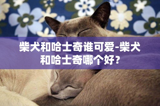 柴犬和哈士奇誰可愛-柴犬和哈士奇哪個好？