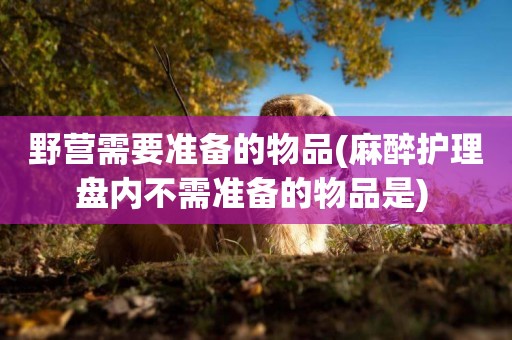 野營需要準備的物品(麻醉護理盤內不需準備的物品是) 