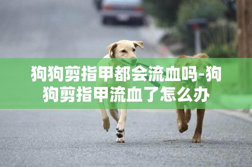 狗狗剪指甲都會流血嗎-狗狗剪指甲流血了怎么辦
