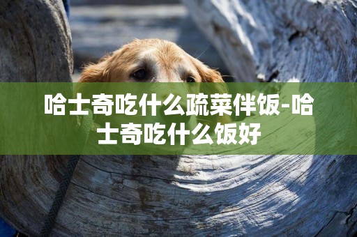 哈士奇吃什么疏菜伴飯-哈士奇吃什么飯好