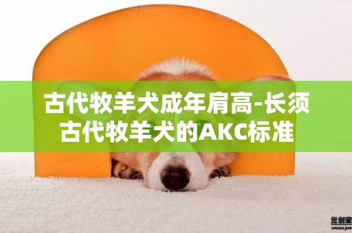古代牧羊犬成年肩高-長須古代牧羊犬的AKC標準