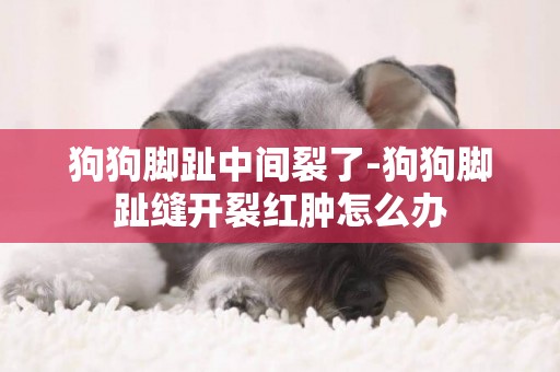 狗狗腳趾中間裂了-狗狗腳趾縫開裂紅腫怎么辦