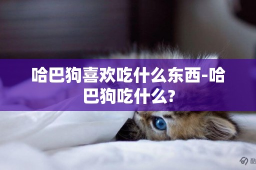 哈巴狗喜歡吃什么東西-哈巴狗吃什么?