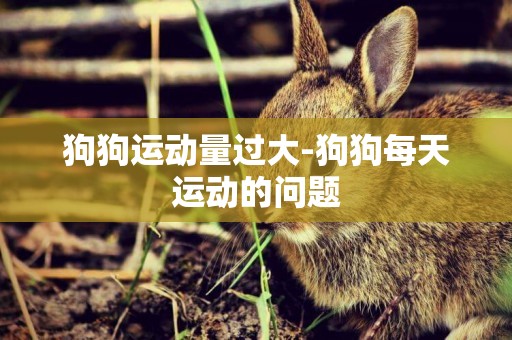 狗狗運動量過大-狗狗每天運動的問題