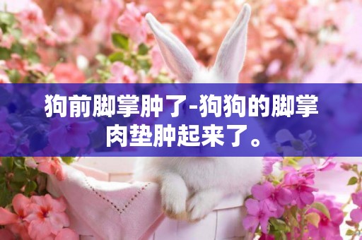 狗前腳掌腫了-狗狗的腳掌肉墊腫起來了。