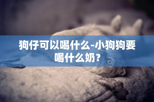 狗仔可以喝什么-小狗狗要喝什么奶？