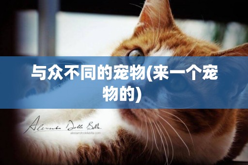 與眾不同的寵物(來一個寵物的) 