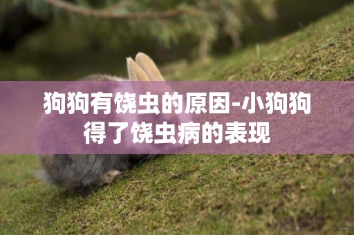 狗狗有饒蟲的原因-小狗狗得了饒蟲病的表現